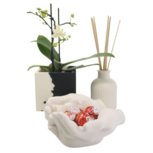 Hands, Ribbed Diffuser & Square Pot Plant Holder
